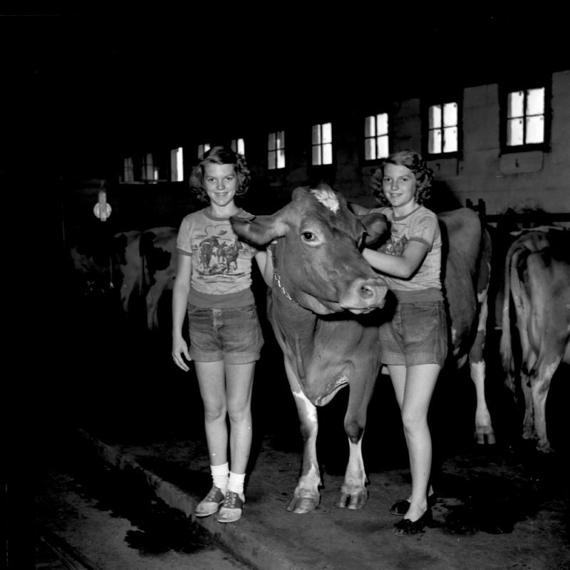 035_Give her a good scratch... (undated).jpg